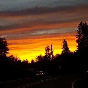 Meet your Posher, Lynn